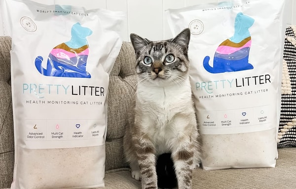 PrettyLitter Banner