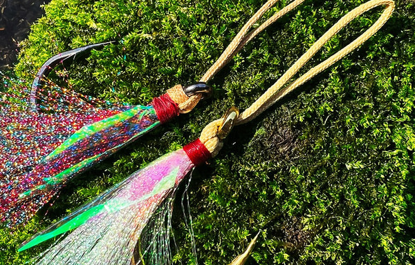Proberos Banner