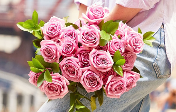 Proflowers Banner