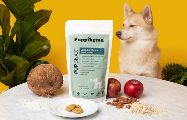 Puppington Banner