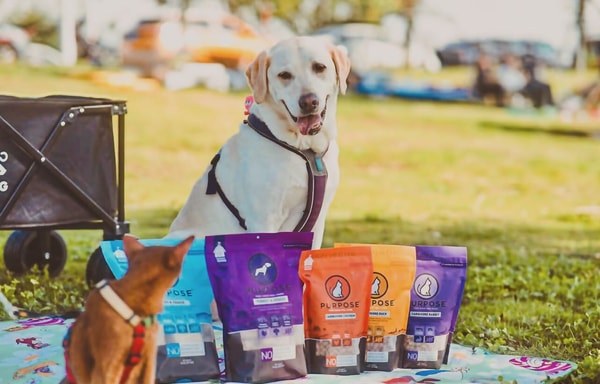 Purpose Pet Food Banner