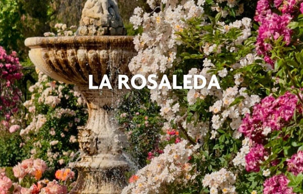 Rafael Hoteles Banner