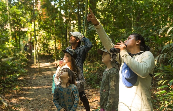 Rainforest Expeditions Banner
