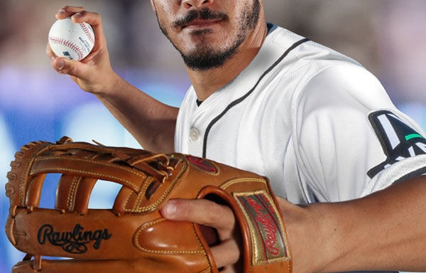 Rawlings Banner