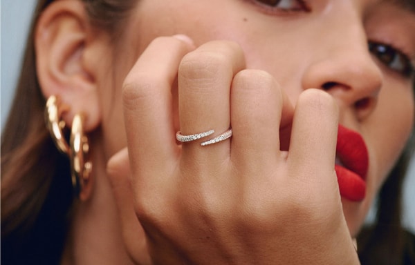 Ring Concierge Banner