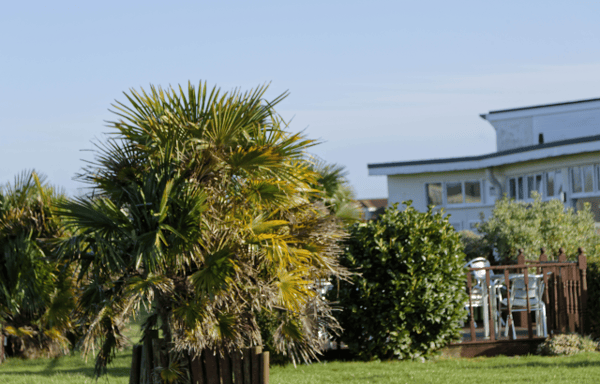 Sand Bay Holiday Village Banner