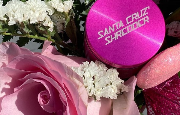 Santa Cruz Shredder Banner