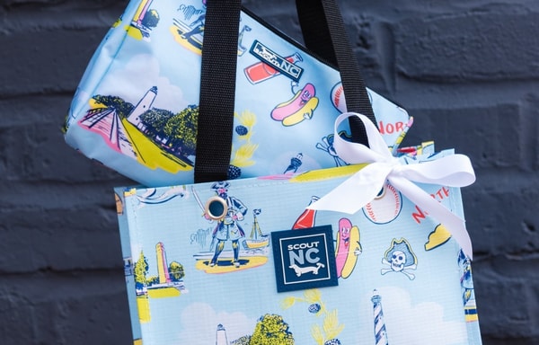 SCOUT Bags Banner