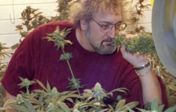 Sensi Seeds Banner