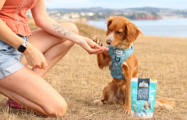 Skipper's Pet Products Banner