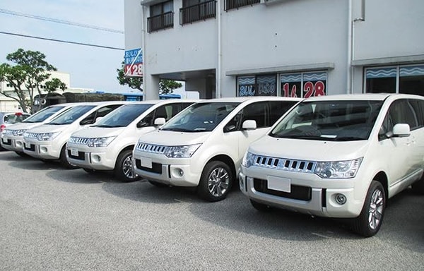 SKY Rent A Car Banner