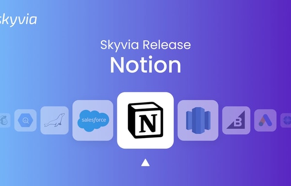 Skyvia Banner