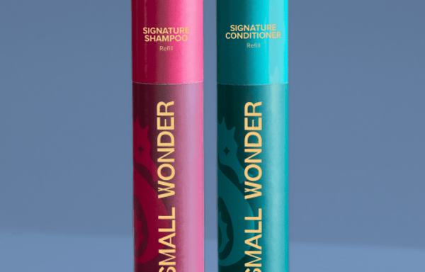 Small Wonder Banner