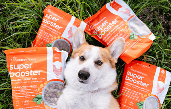 Smallbatch Pets Banner