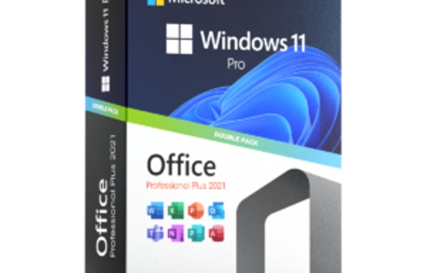 Software Kings Banner