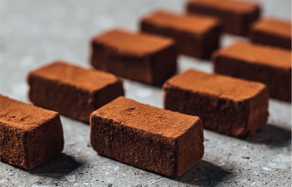 SOIL CHOCOLATE Banner