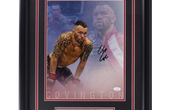 Sports Integrity Banner
