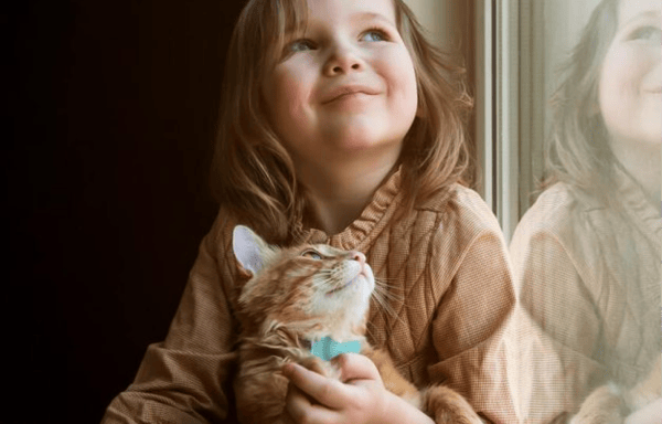 Tabcat Tracker Banner