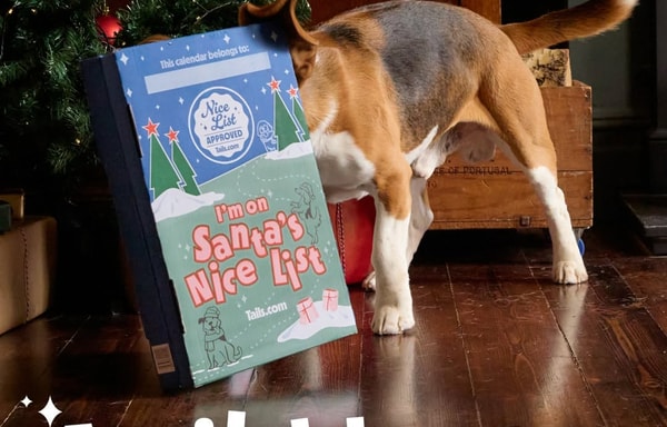 Tails.com Banner