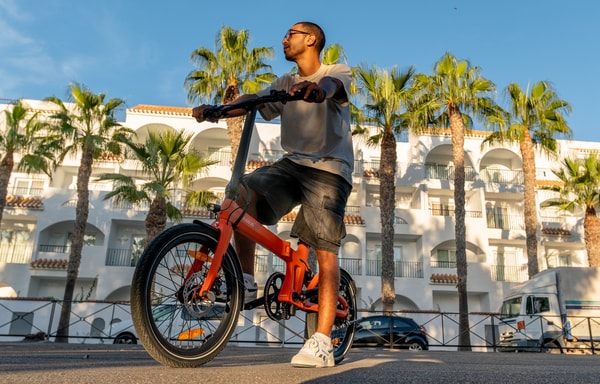 Tezeus Bike Banner