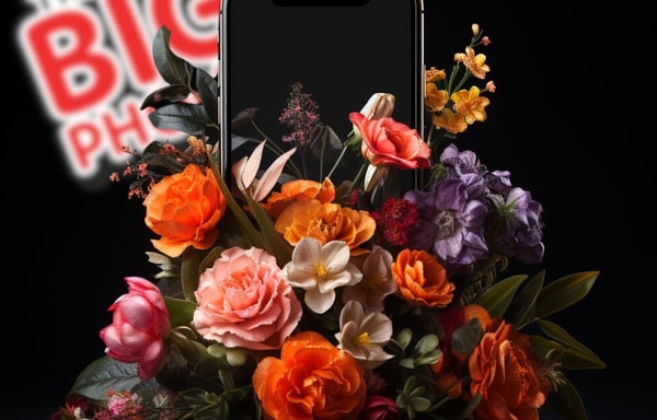 The Big Phone Store Banner