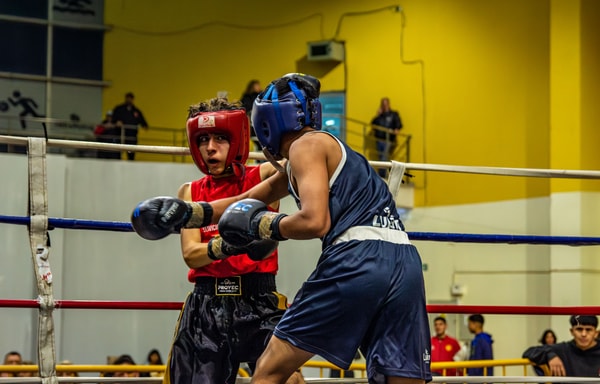 The Boxing Gloves Banner