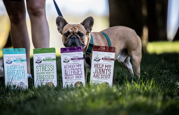 The Granville Island Pet Treatery Banner