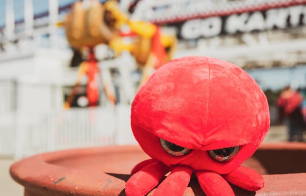 The Grumpy Octopus Banner