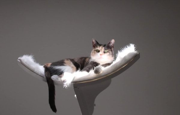 The Refined Feline Banner