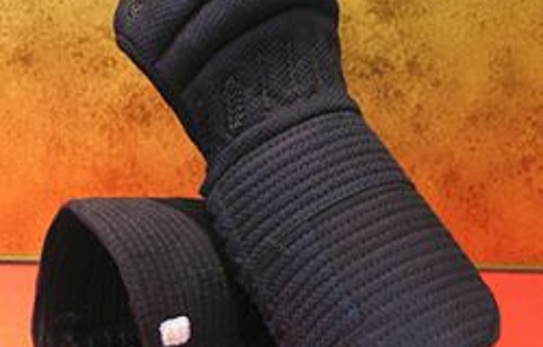 Tozando Kendo Kyoto Banner