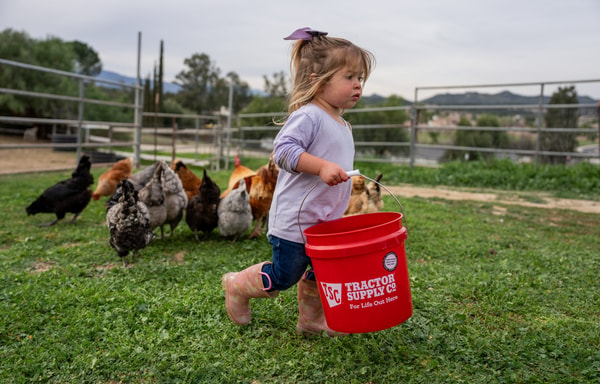 Tractor Supply Banner