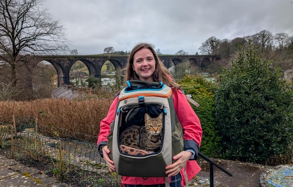 Travel Cat Banner
