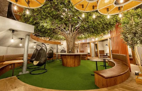 Tree Financial Banner