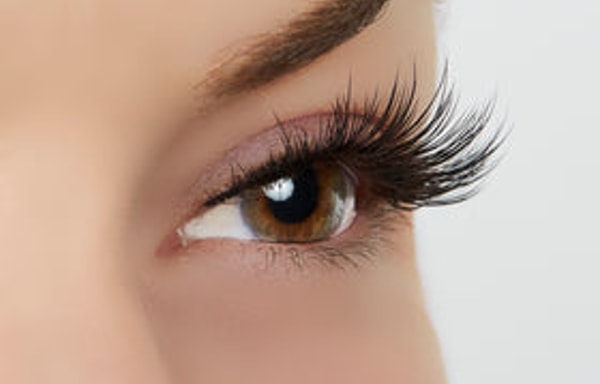 True Beauty Lashes Banner
