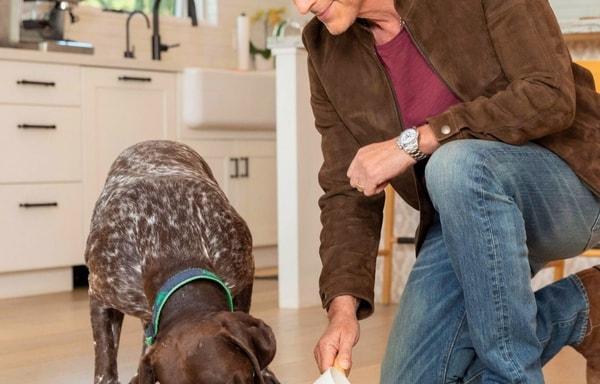 Ultimate Pet Nutrition Banner