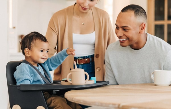 UPPAbaby Banner