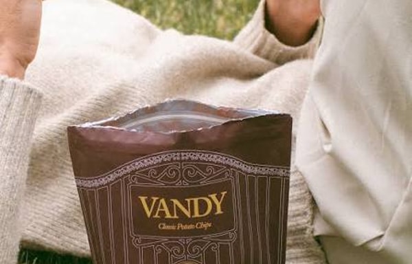 VANDY Crisps Banner