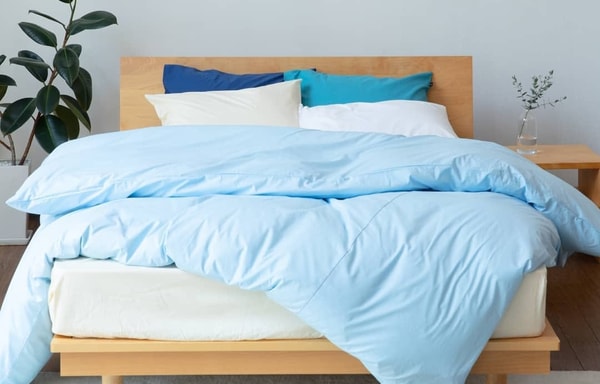 Venus Bed Banner