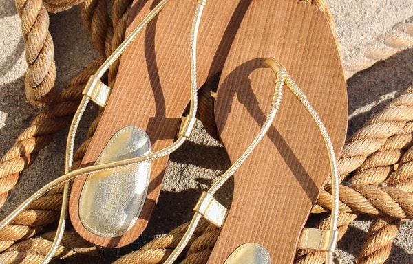 Veronica Beard Banner