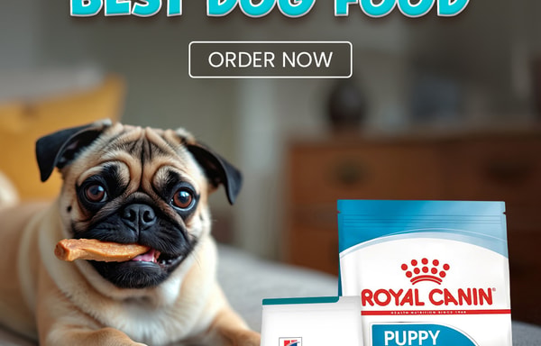 VetSupply Banner