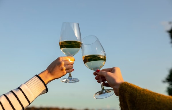 Virgin Wines Banner
