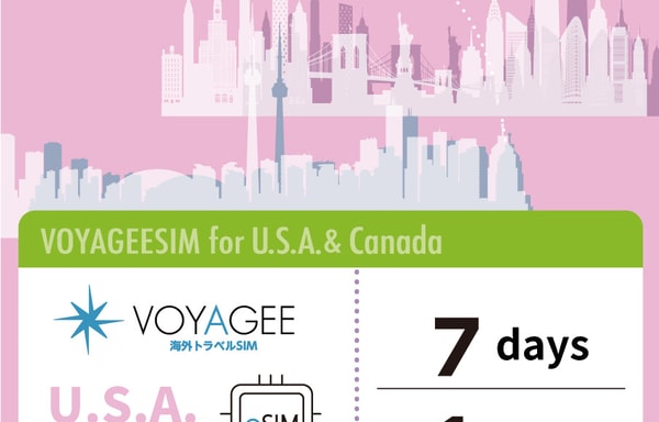 VOYAGEE eSIM Banner