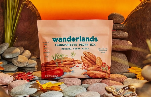 Wanderlands Banner