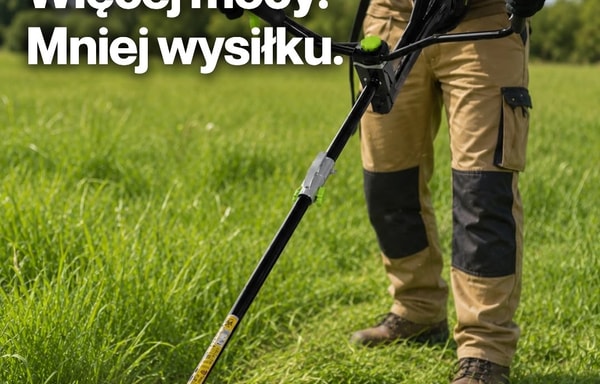wDomku Banner