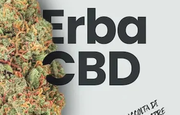 WeWeed Banner