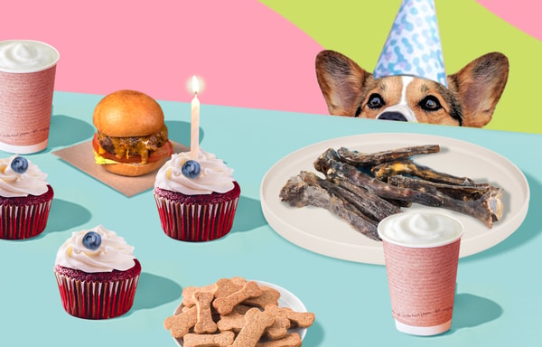 Whiskers N Paws Banner