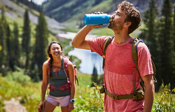 WildBounds Banner