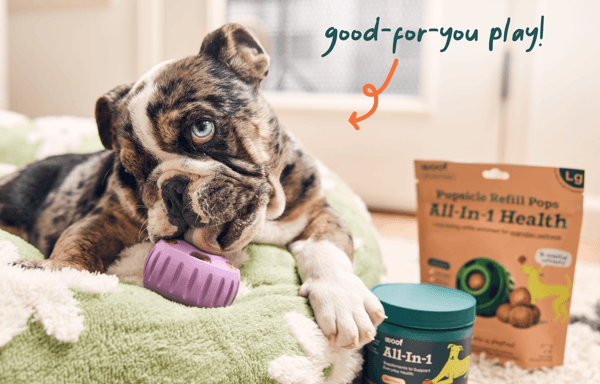 Woof Banner
