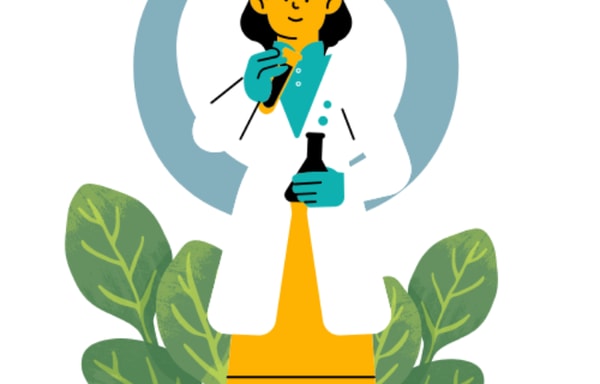 WPRankLab Banner