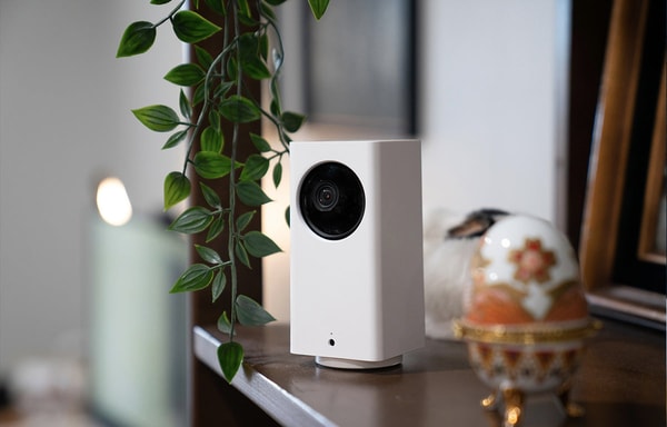 Wyze Global Banner